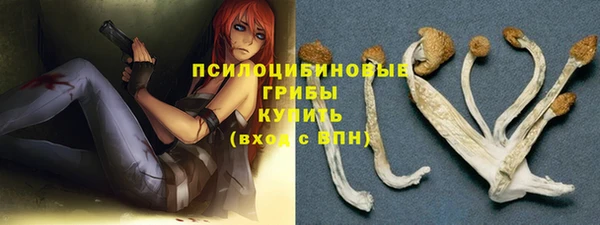 хмурый Вяземский