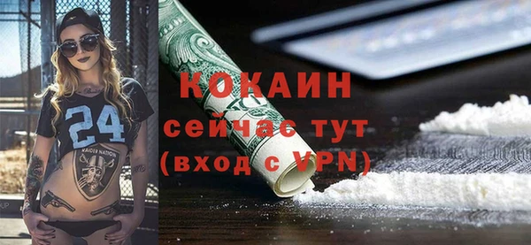 хмурый Вяземский