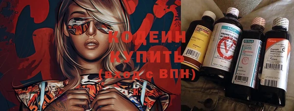 хмурый Вяземский