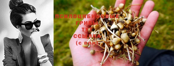 прущая мука Белоозёрский
